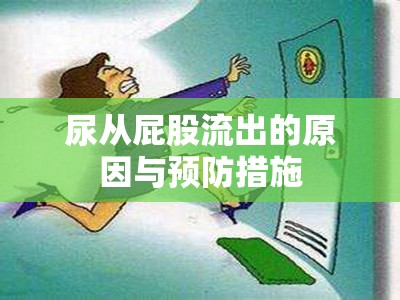 尿從屁股流出的原因與預(yù)防措施