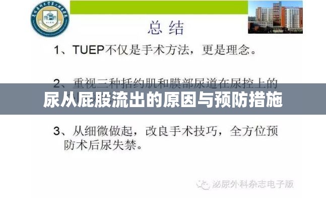 尿從屁股流出的原因與預(yù)防措施