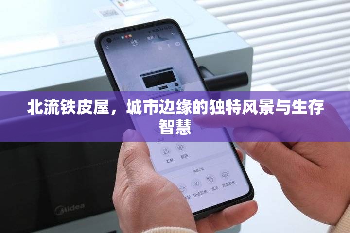 北流鐵皮屋，城市邊緣的獨(dú)特風(fēng)景與生存智慧