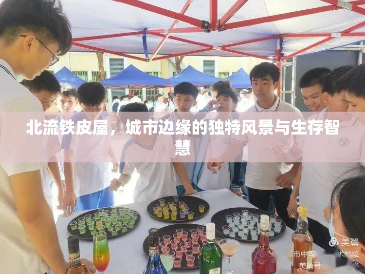 北流鐵皮屋，城市邊緣的獨(dú)特風(fēng)景與生存智慧