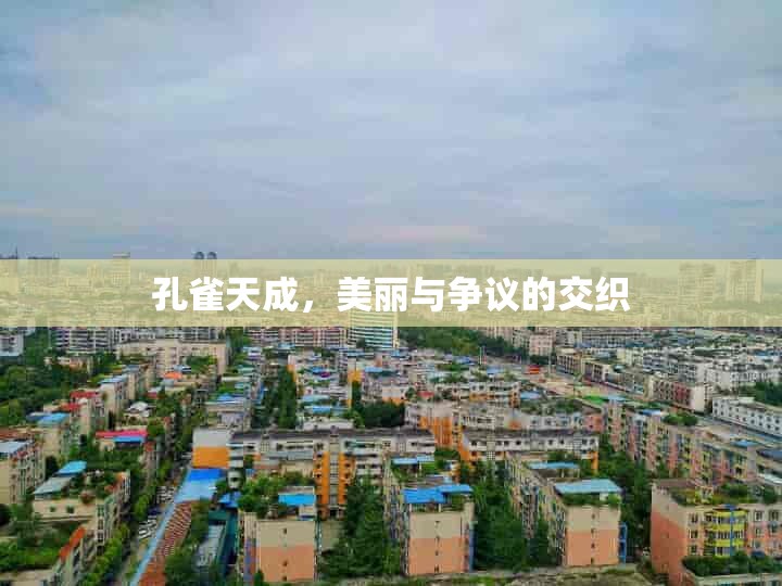 孔雀天成，美麗與爭議的交織