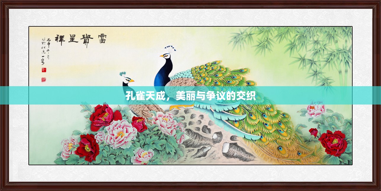 孔雀天成，美麗與爭議的交織