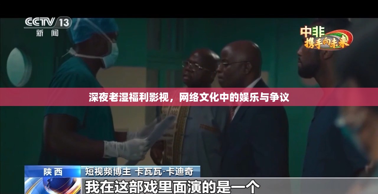 深夜老濕福利影視，網絡文化中的娛樂與爭議