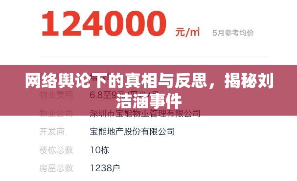 網(wǎng)絡輿論下的真相與反思，揭秘劉潔涵事件