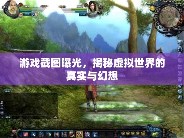 游戲截圖曝光，揭秘虛擬世界的真實(shí)與幻想
