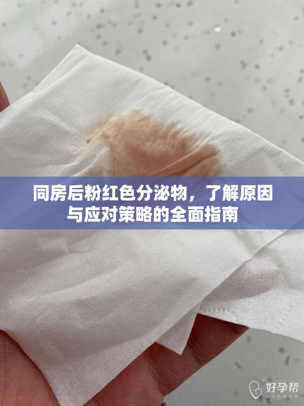 同房后粉紅色分泌物，了解原因與應(yīng)對策略的全面指南