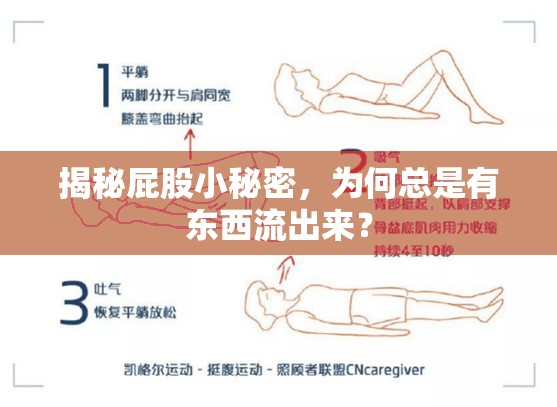 揭秘屁股小秘密，為何總是有東西流出來？