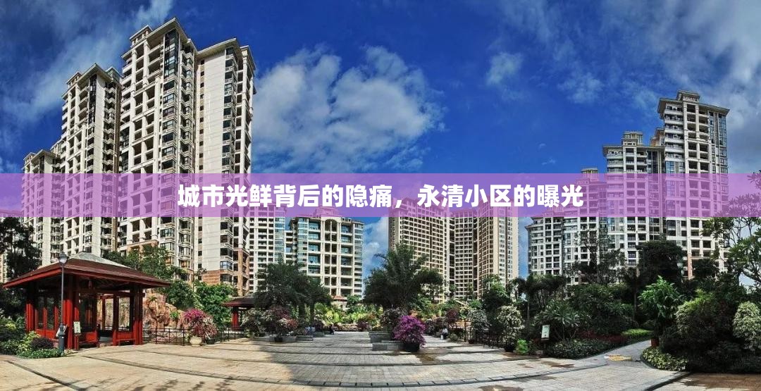 城市光鮮背后的隱痛，永清小區(qū)的曝光