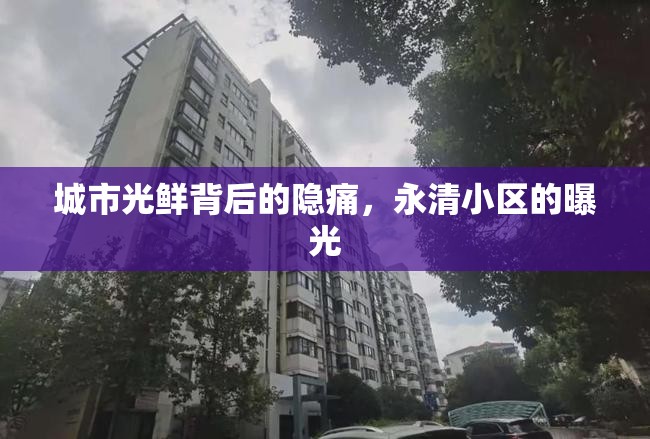 城市光鮮背后的隱痛，永清小區(qū)的曝光