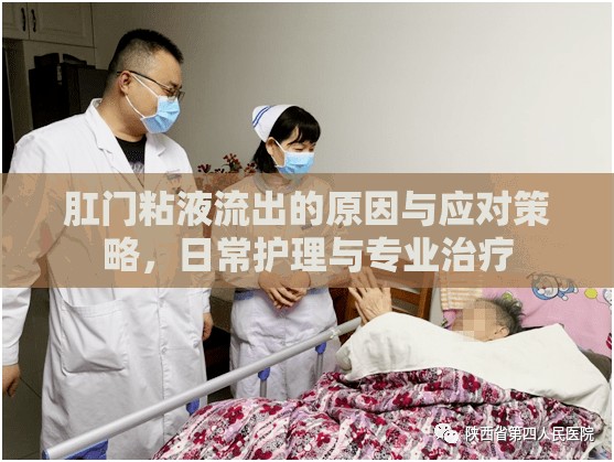 肛門粘液流出的原因與應(yīng)對(duì)策略，日常護(hù)理與專業(yè)治療