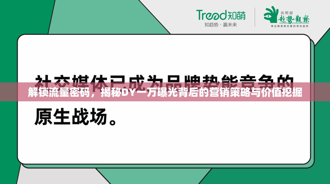 解鎖流量密碼，揭秘DY一萬(wàn)曝光背后的營(yíng)銷策略與價(jià)值挖掘