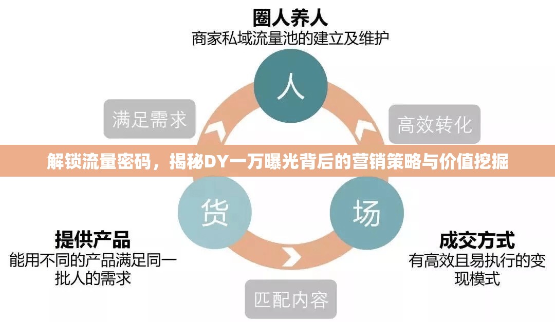 解鎖流量密碼，揭秘DY一萬(wàn)曝光背后的營(yíng)銷策略與價(jià)值挖掘