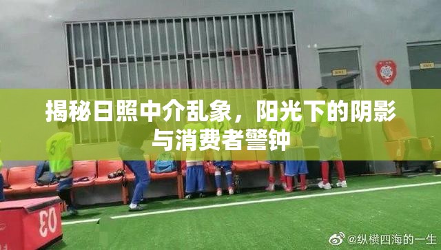 揭秘日照中介亂象，陽(yáng)光下的陰影與消費(fèi)者警鐘