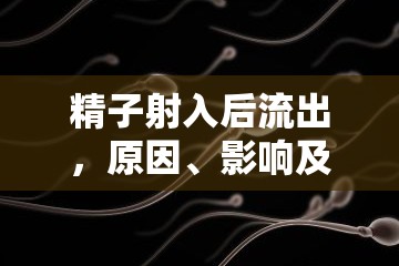 精子射入后流出，原因、影響及應(yīng)對(duì)措施