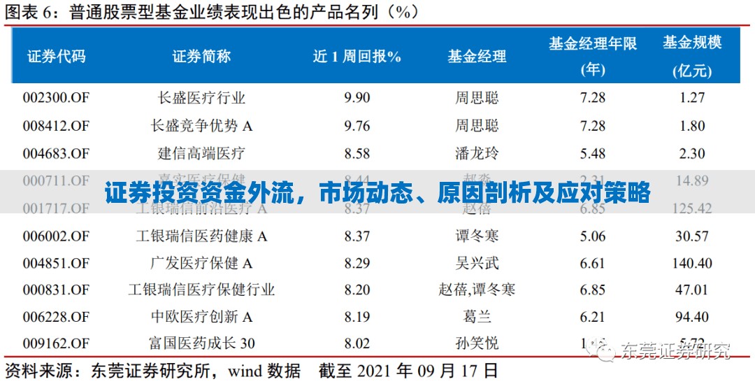 證券投資資金外流，市場動態(tài)、原因剖析及應對策略