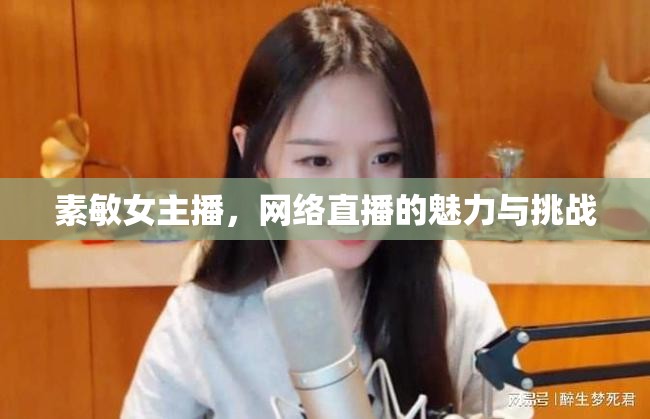素敏女主播，網(wǎng)絡(luò)直播的魅力與挑戰(zhàn)