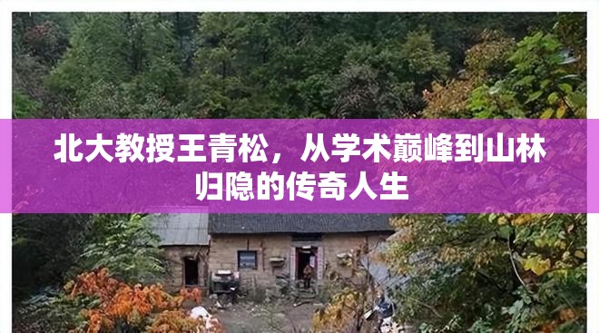 北大教授王青松，從學(xué)術(shù)巔峰到山林歸隱的傳奇人生