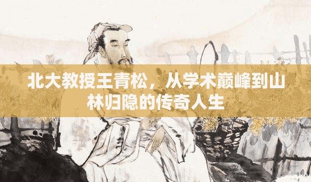 北大教授王青松，從學(xué)術(shù)巔峰到山林歸隱的傳奇人生