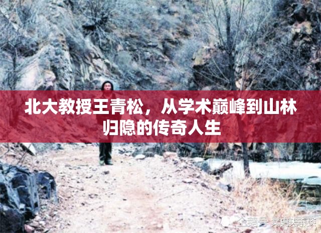 北大教授王青松，從學(xué)術(shù)巔峰到山林歸隱的傳奇人生