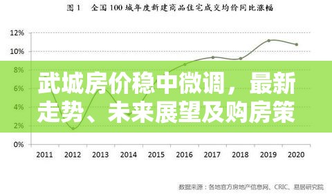 武城房?jī)r(jià)穩(wěn)中微調(diào)，最新走勢(shì)、未來(lái)展望及購(gòu)房策略