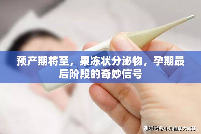 預(yù)產(chǎn)期將至，果凍狀分泌物，孕期最后階段的奇妙信號(hào)