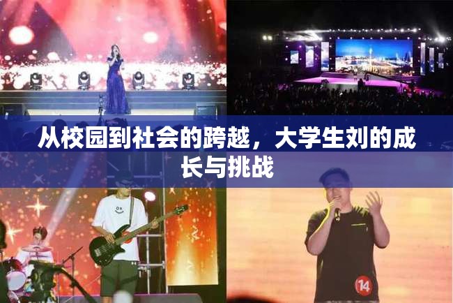 從校園到社會的跨越，大學生劉的成長與挑戰(zhàn)