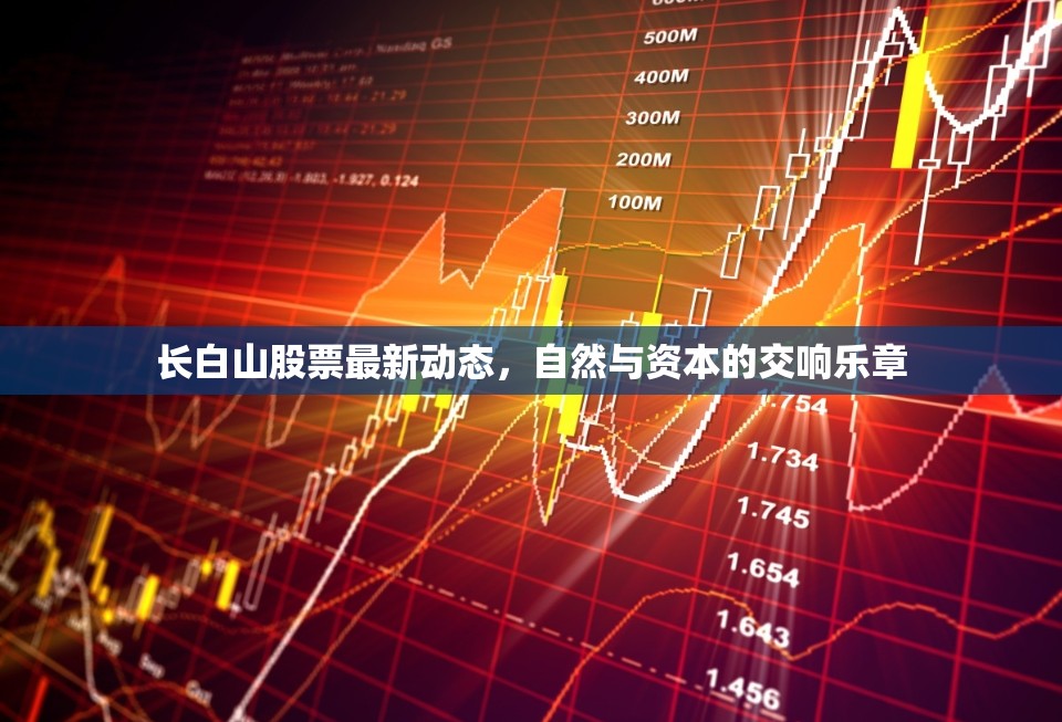 長白山股票最新動態(tài)，自然與資本的交響樂章