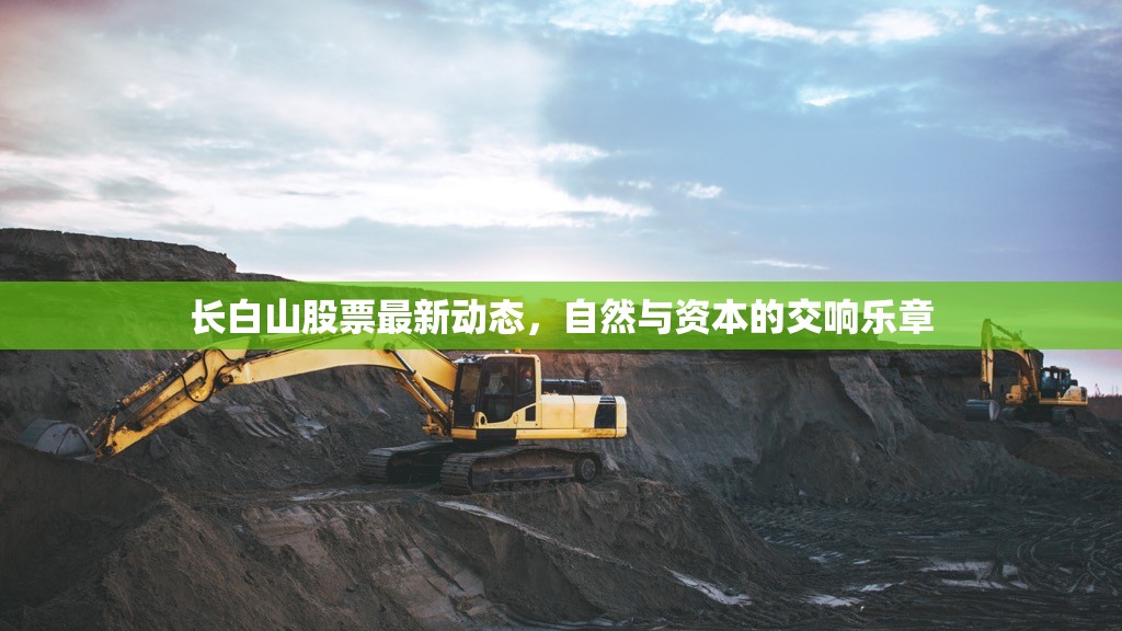 長白山股票最新動態(tài)，自然與資本的交響樂章