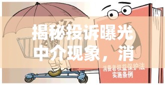 揭秘投訴曝光中介現(xiàn)象，消費(fèi)者權(quán)益的守護(hù)者與行業(yè)亂象的照妖鏡