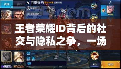 王者榮耀I(xiàn)D背后的社交與隱私之爭，一場(chǎng)揭秘之旅
