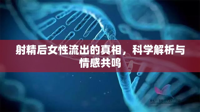 射精后女性流出的真相，科學(xué)解析與情感共鳴
