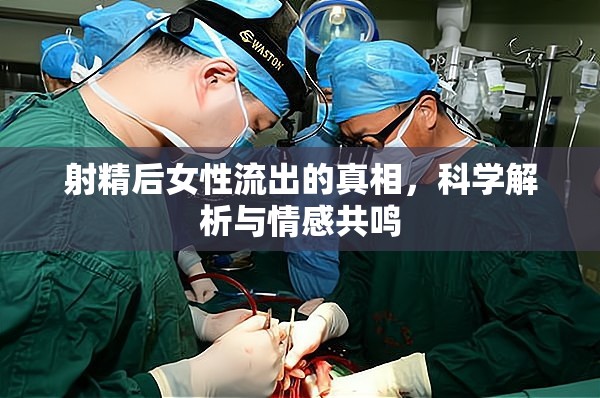 射精后女性流出的真相，科學(xué)解析與情感共鳴