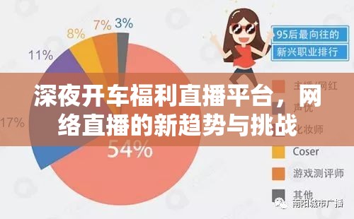 深夜開車福利直播平臺(tái)，網(wǎng)絡(luò)直播的新趨勢(shì)與挑戰(zhàn)