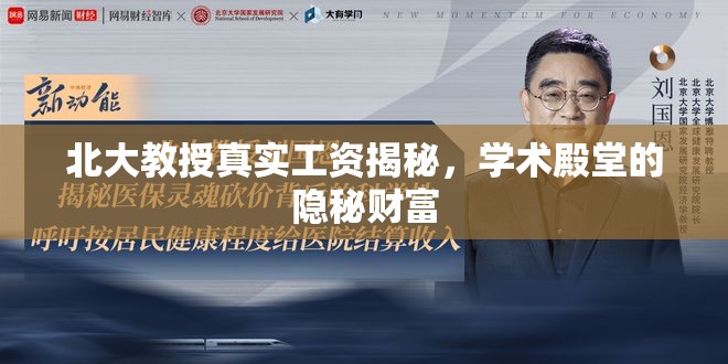 北大教授真實(shí)工資揭秘，學(xué)術(shù)殿堂的隱秘財富