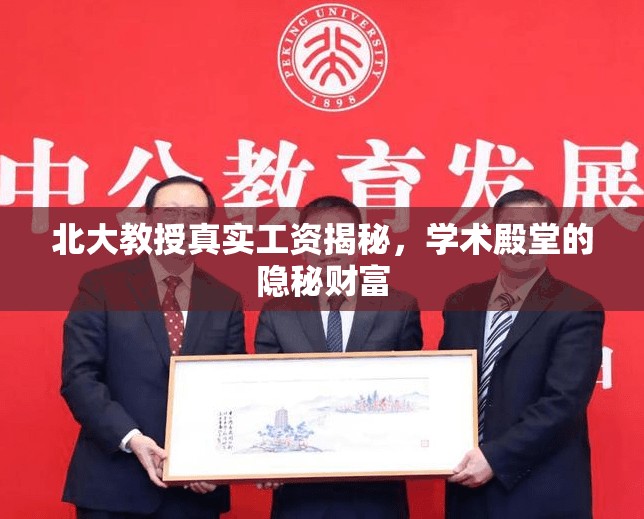 北大教授真實(shí)工資揭秘，學(xué)術(shù)殿堂的隱秘財富