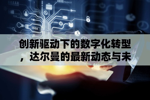 創(chuàng)新驅(qū)動(dòng)下的數(shù)字化轉(zhuǎn)型，達(dá)爾曼的最新動(dòng)態(tài)與未來(lái)展望