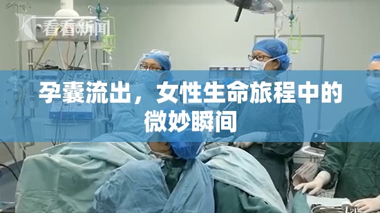 孕囊流出，女性生命旅程中的微妙瞬間