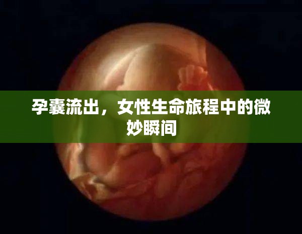 孕囊流出，女性生命旅程中的微妙瞬間
