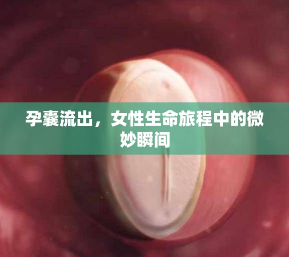 孕囊流出，女性生命旅程中的微妙瞬間