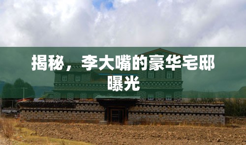 揭秘，李大嘴的豪華宅邸曝光
