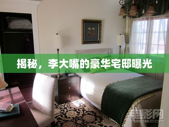 揭秘，李大嘴的豪華宅邸曝光