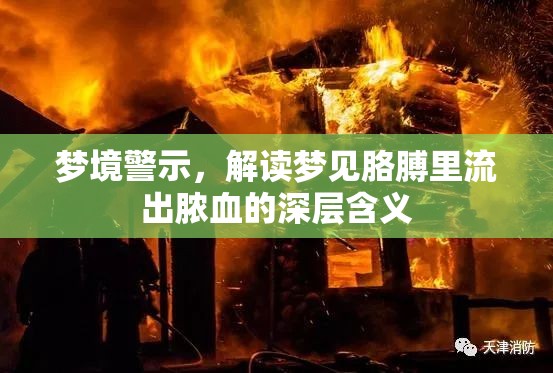 夢(mèng)境警示，解讀夢(mèng)見胳膊里流出膿血的深層含義