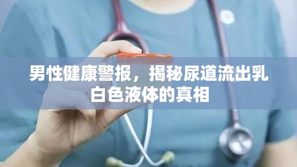 男性健康警報，揭秘尿道流出乳白色液體的真相