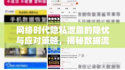 網(wǎng)絡時代隱私泄露的隱憂與應對策略，揭秘數(shù)據(jù)流動背后的風險