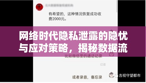 網(wǎng)絡時代隱私泄露的隱憂與應對策略，揭秘數(shù)據(jù)流動背后的風險