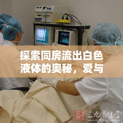探索同房流出白色液體的奧秘，愛(ài)與健康的平衡