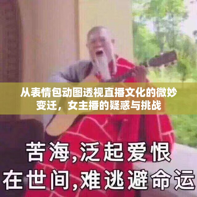 從表情包動(dòng)圖透視直播文化的微妙變遷，女主播的疑惑與挑戰(zhàn)