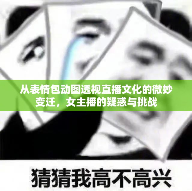 從表情包動(dòng)圖透視直播文化的微妙變遷，女主播的疑惑與挑戰(zhàn)