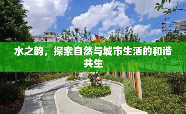 水之韻，探索自然與城市生活的和諧共生