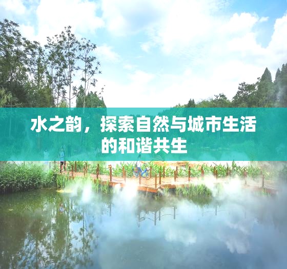 水之韻，探索自然與城市生活的和諧共生
